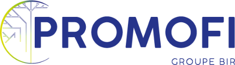 Logo Promofi